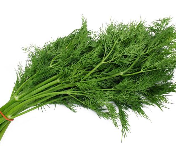 Dill thi la